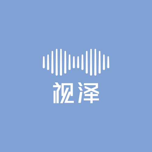 寧夏視澤集團(tuán)公司logo設(shè)計(jì)，深圳老謀子logo設(shè)計(jì)案例，logo設(shè)計(jì)方案